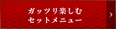 ガッツリ楽しむセットメニュー