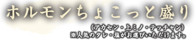 ホルモンちょこっと盛り